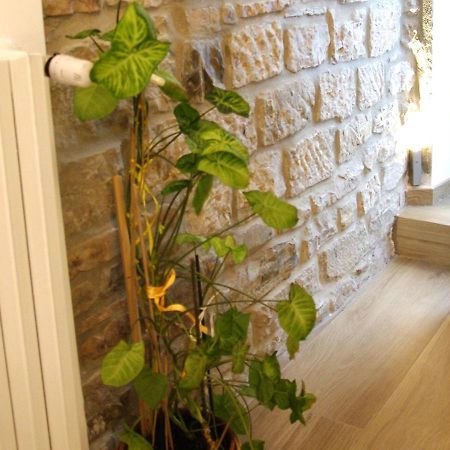 Il Casale Del Borgo Bed & Breakfast Cancellara Bagian luar foto